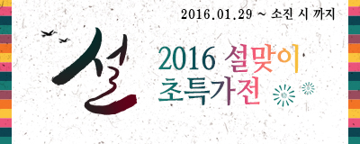 2016 설맞이 초특가전